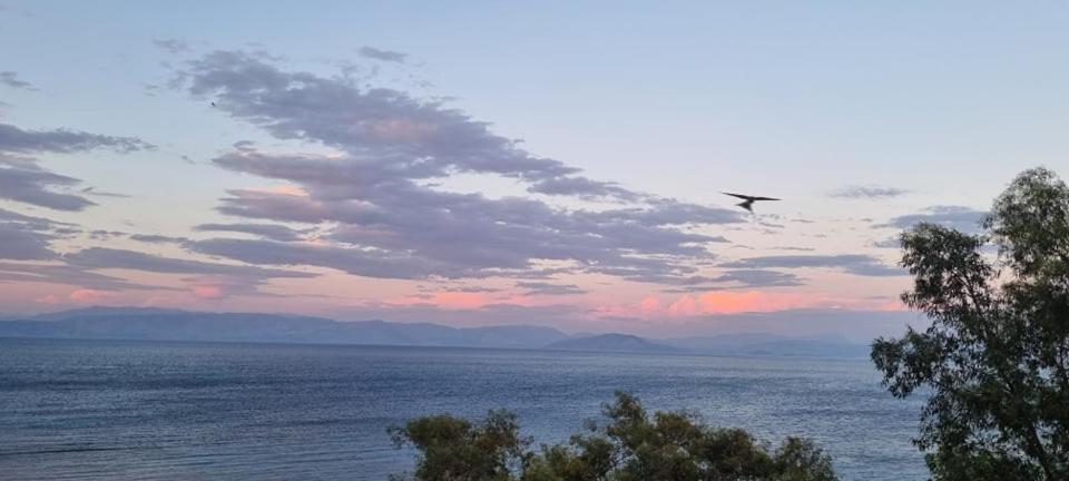 Ionian Mare Aparthotel Agios Ioannis Peristeron  Luaran gambar